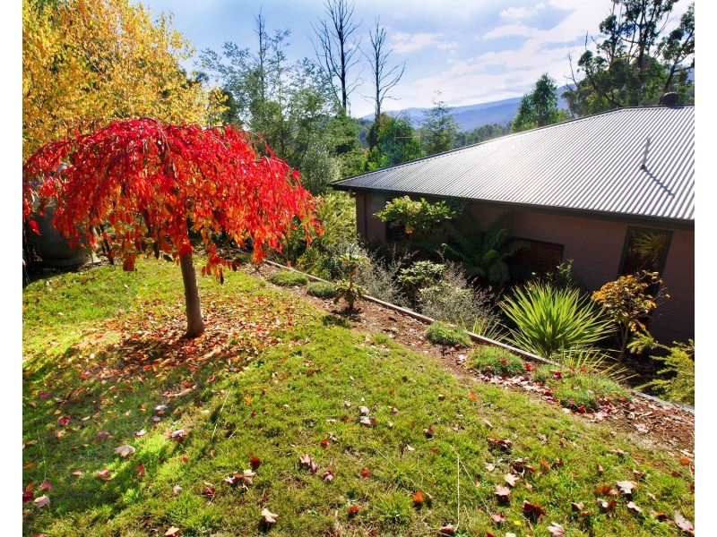 22 Allison Crescent, Marysville VIC 3779