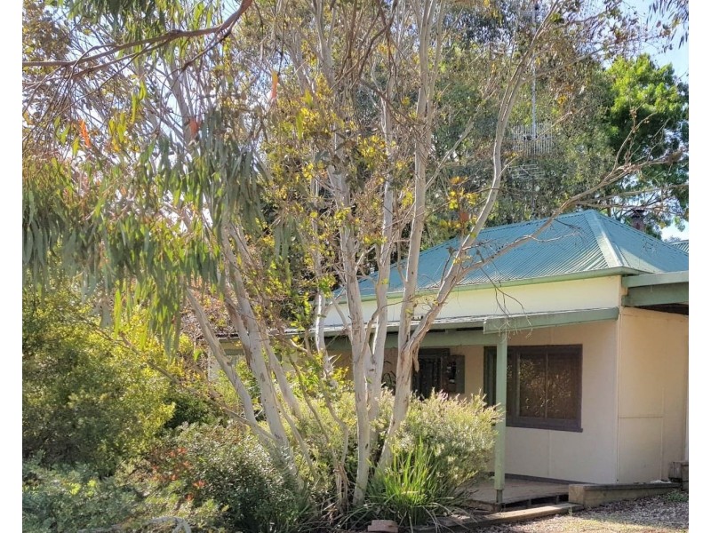 22 Downey Street, Alexandra VIC 3714