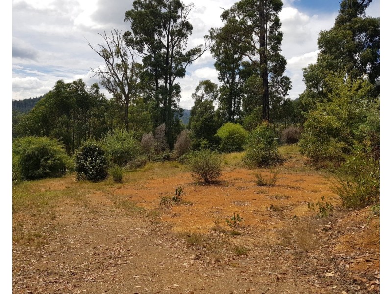 57 Kings Road, Marysville VIC 3779