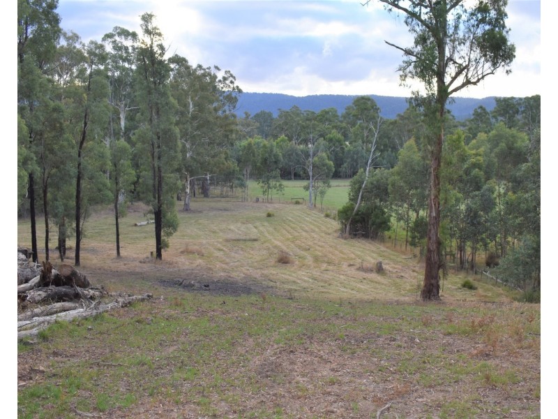 1301 Maroondah Highway, Narbethong VIC 3778