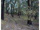 1301 Maroondah Highway, Narbethong VIC 3778