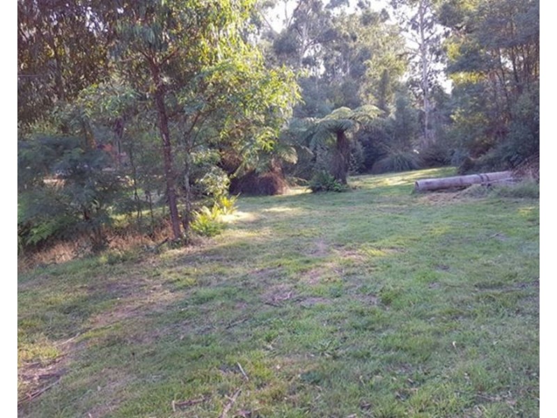 757 Buxton-Marysville Road, Marysville VIC 3779