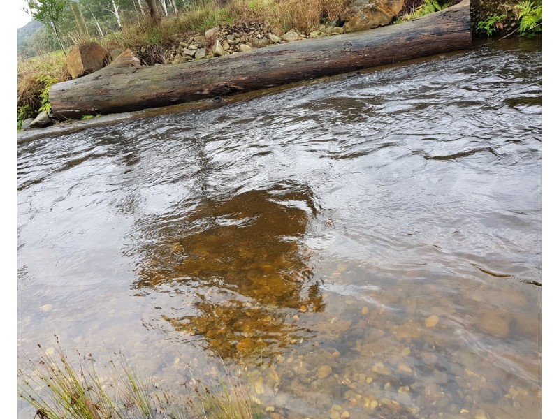 757 Buxton-Marysville Road, Marysville VIC 3779