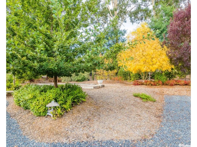 975 Maroondah Highway, Narbethong VIC 3778