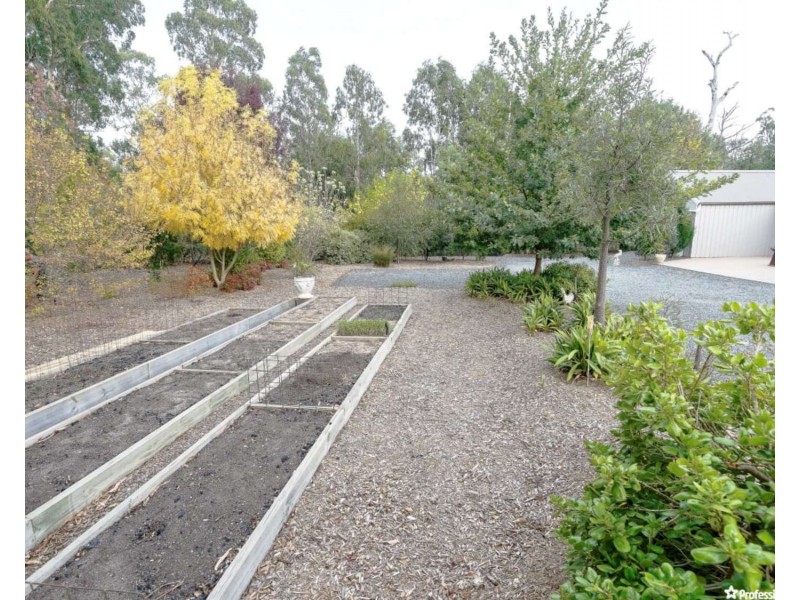 975 Maroondah Highway, Narbethong VIC 3778