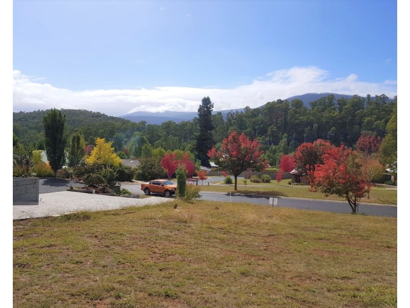 12 Gould Terrace, Marysville VIC 3779