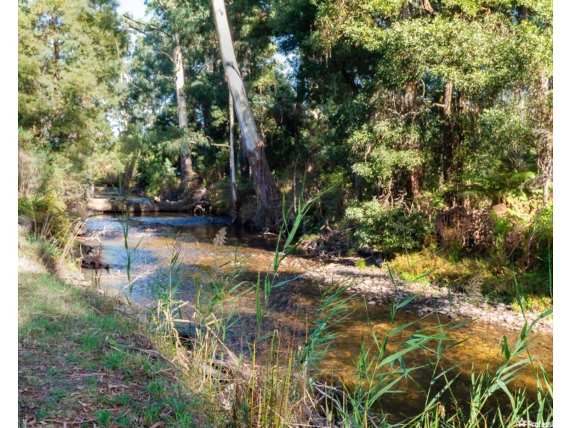 2187 Maroondah Highway, Buxton VIC 3711