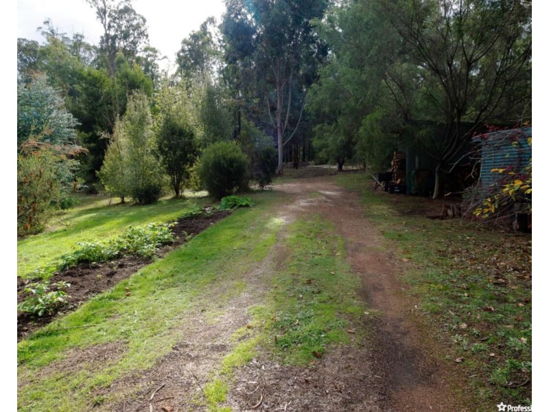 550 Marysville Road, Narbethong VIC 3778