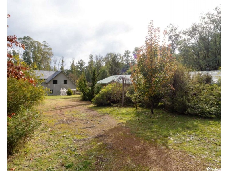 550 Marysville Road, Narbethong VIC 3778