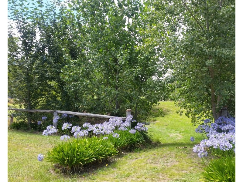 5 Cameron Close, Buxton VIC 3711