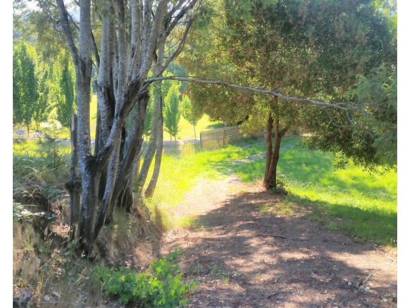 5 Cameron Close, Buxton VIC 3711