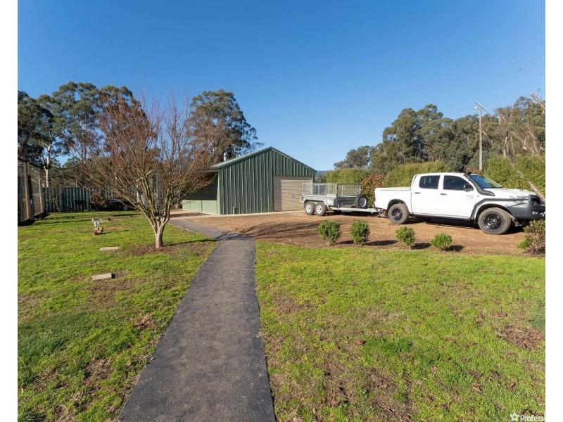 38 Tarnpirr Road, Narbethong VIC 3778
