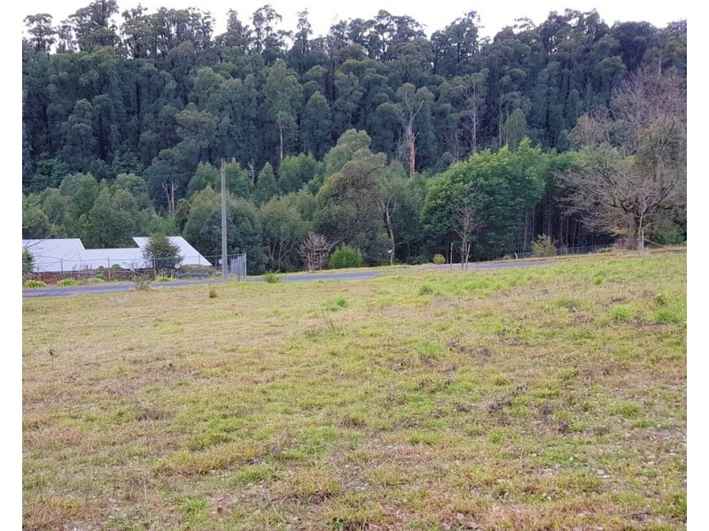 74 Falls Road, Marysville VIC 3779
