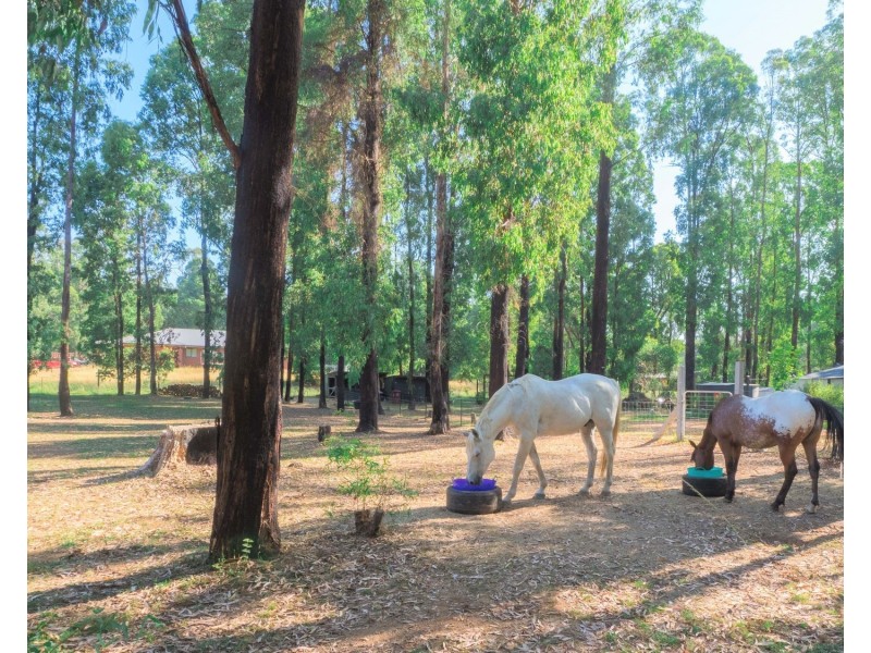 27 Lever Street, Narbethong VIC 3778