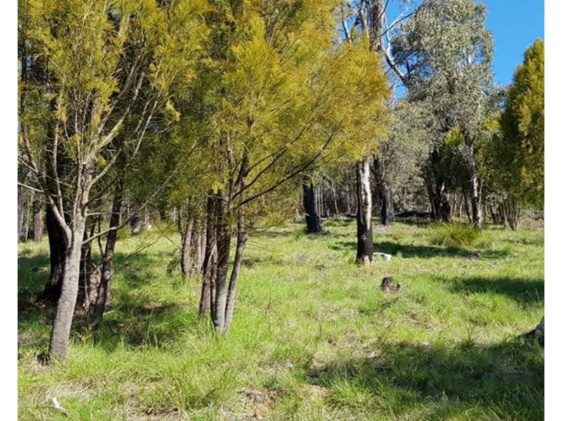 22 Williams Lane, Buxton VIC 3711