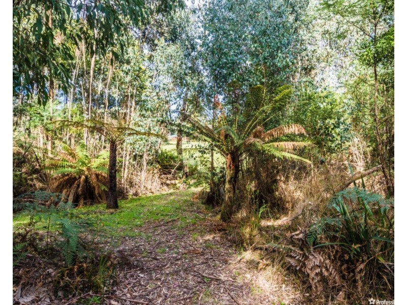 77 Falls Road, Marysville VIC 3779