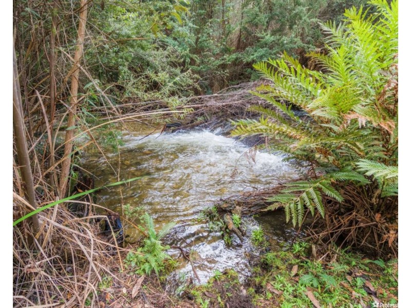 77 Falls Road, Marysville VIC 3779