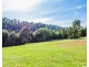 77 Falls Road, Marysville VIC 3779