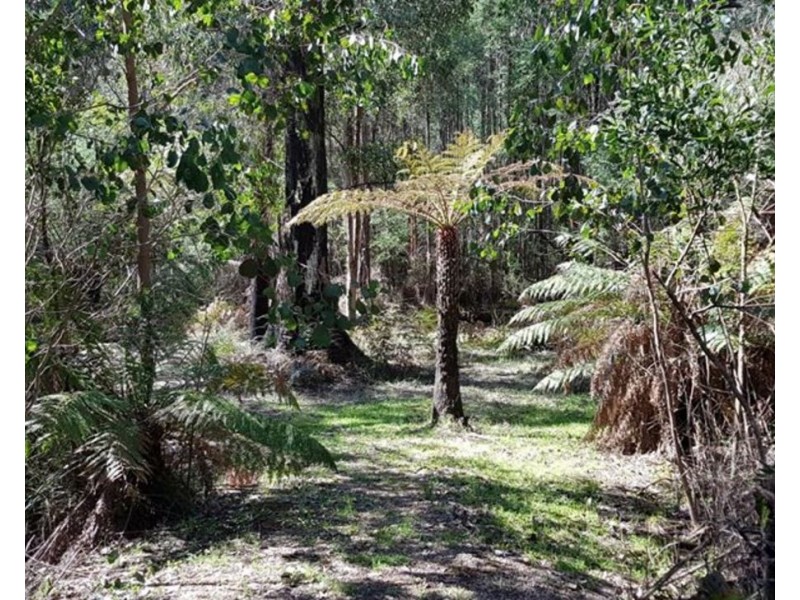 77 Falls Road, Marysville VIC 3779