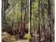 77 Falls Road, Marysville VIC 3779
