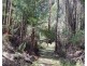 77 Falls Road, Marysville VIC 3779