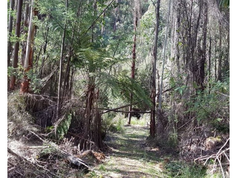 77 Falls Road, Marysville VIC 3779
