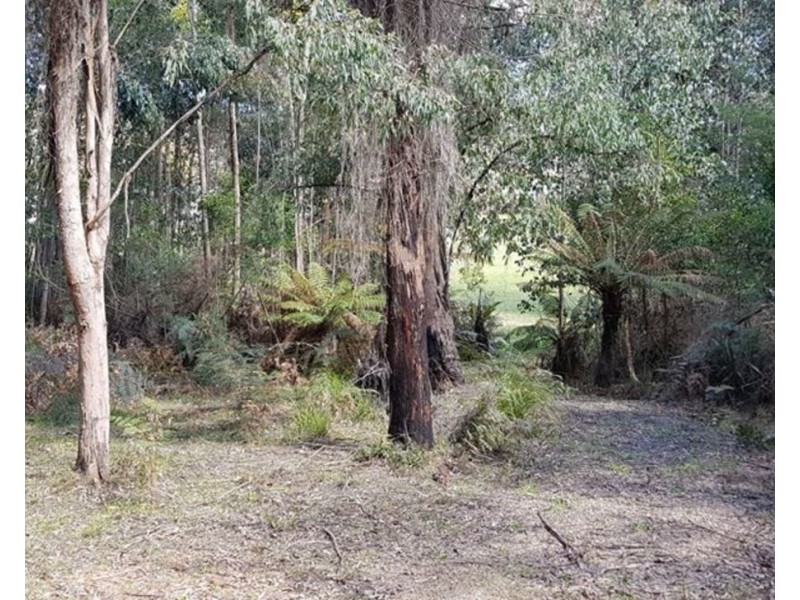 77 Falls Road, Marysville VIC 3779