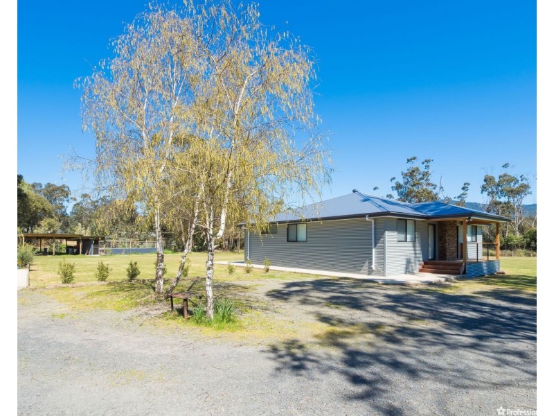 25 Anderson Lane, Narbethong VIC 3778