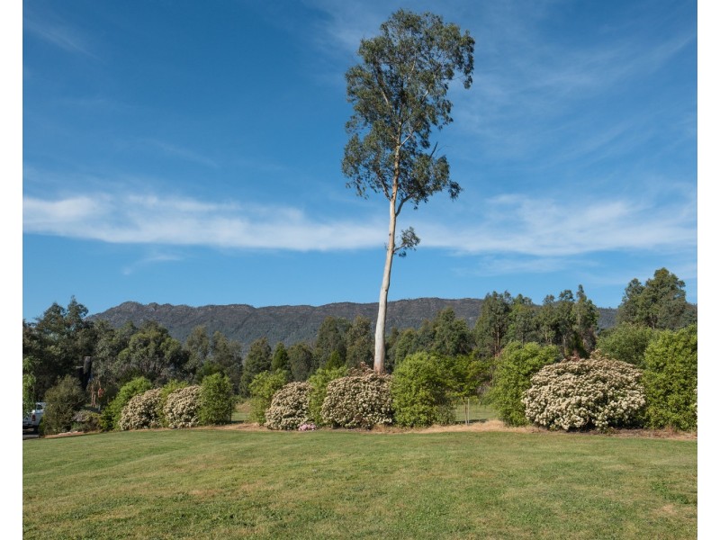 2509 Maroondah Highway, Buxton VIC 3711