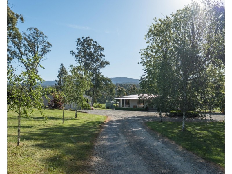 2509 Maroondah Highway, Buxton VIC 3711