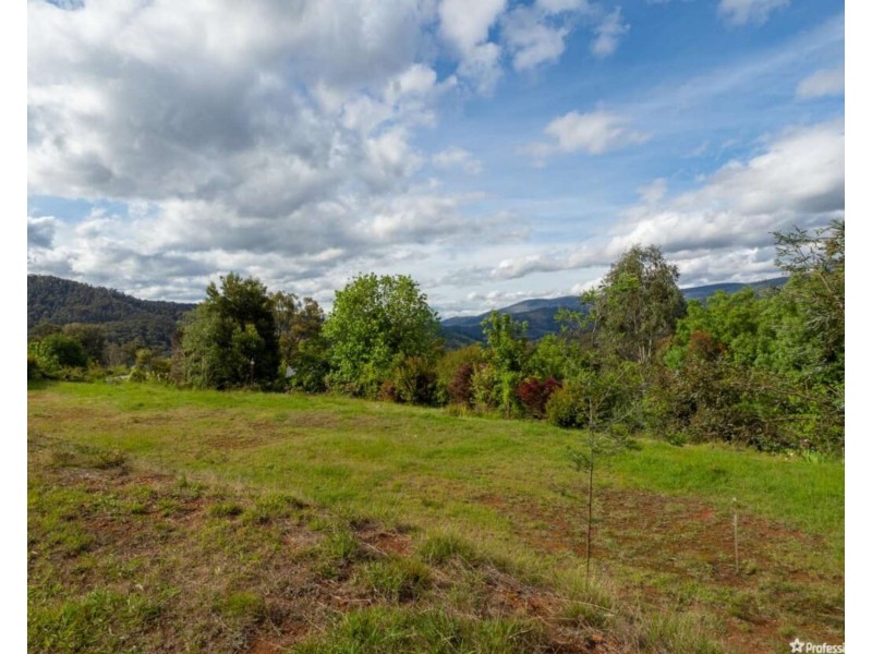 13 Old Melbourne Road, Marysville VIC 3779