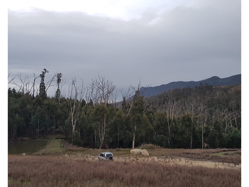 534  South Cathedral Lane, Buxton VIC 3711