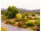39 Sedgwick Street, Marysville VIC 3779