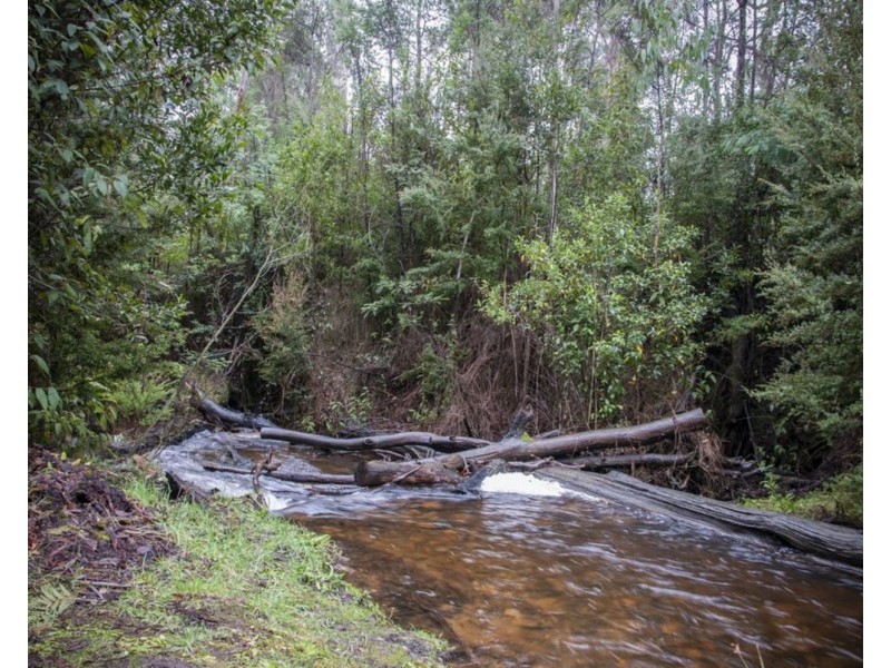 55 Falls Road, Marysville VIC 3779