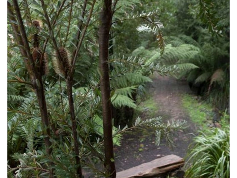 55 Falls Road, Marysville VIC 3779