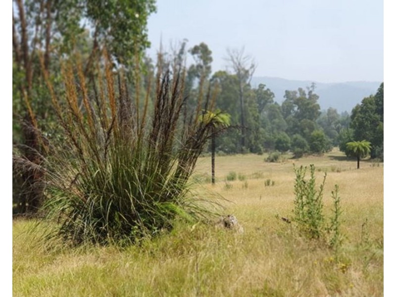 Lot 3, 32 Kings Road, Marysville VIC 3779