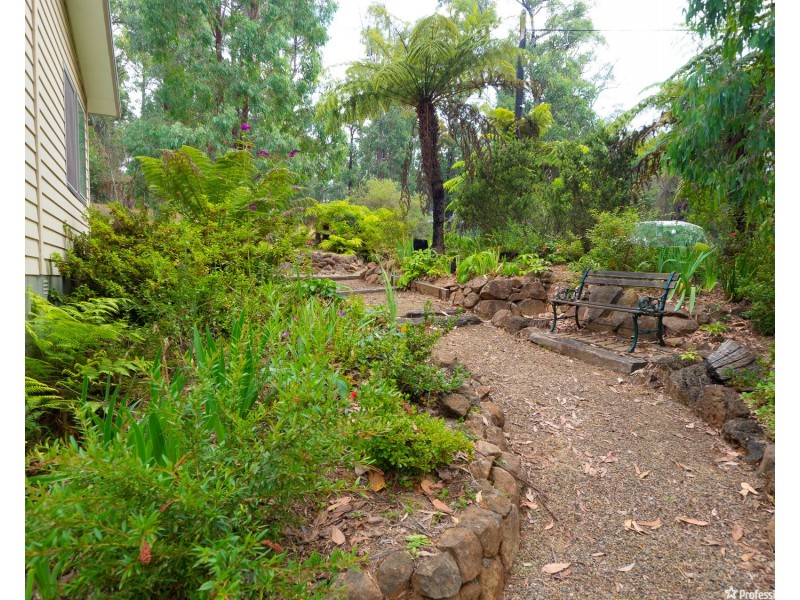 51 Kings Road, Marysville VIC 3779