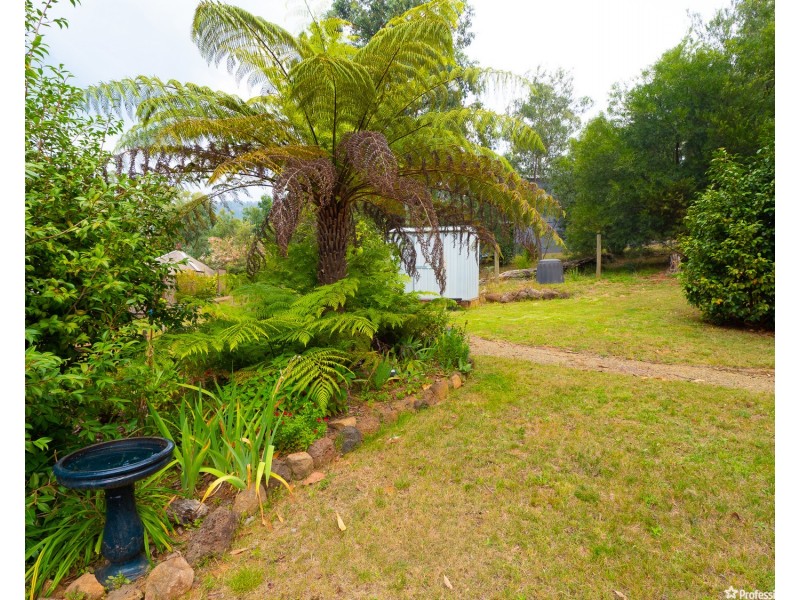 51 Kings Road, Marysville VIC 3779