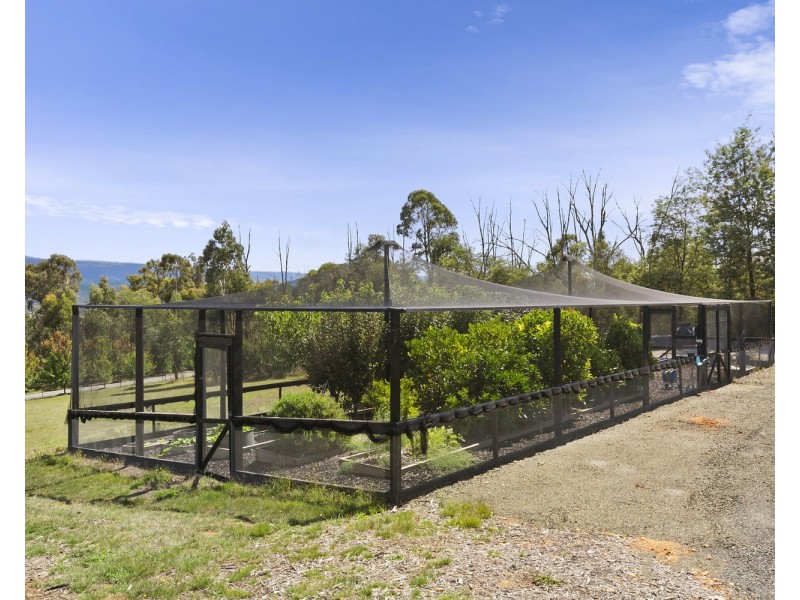 285 South Cathedral Lane, Buxton VIC 3711