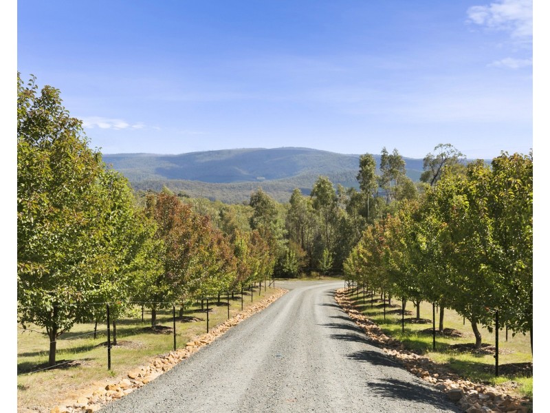 285 South Cathedral Lane, Buxton VIC 3711