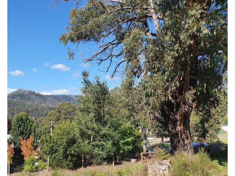 9 Kings Road, Marysville VIC 3779