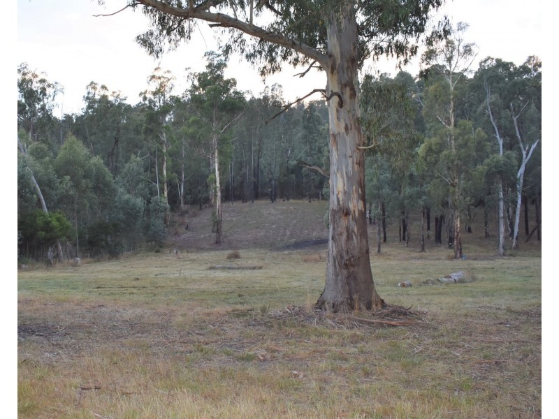1301 Maroondah Highway, Narbethong VIC 3778