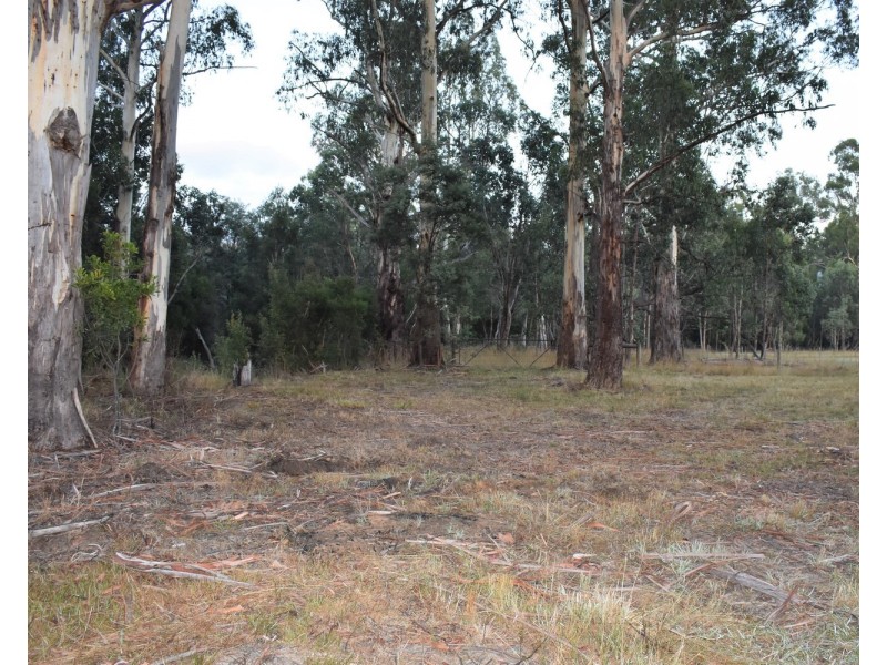 1301 Maroondah Highway, Narbethong VIC 3778