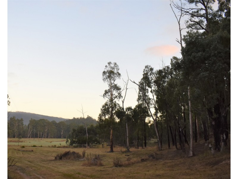 1301 Maroondah Highway, Narbethong VIC 3778