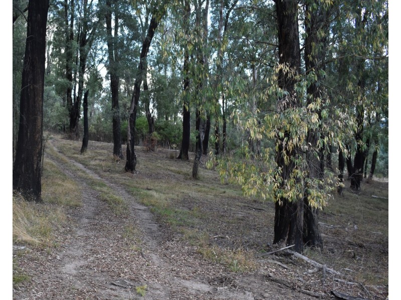 1301 Maroondah Highway, Narbethong VIC 3778