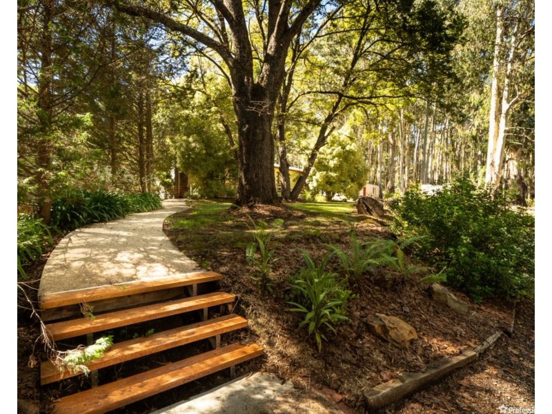 436 Maroondah Highway, Narbethong VIC 3778