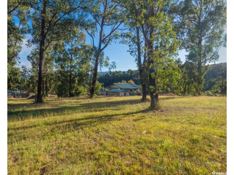 22 Gould Terrace, Marysville VIC 3779