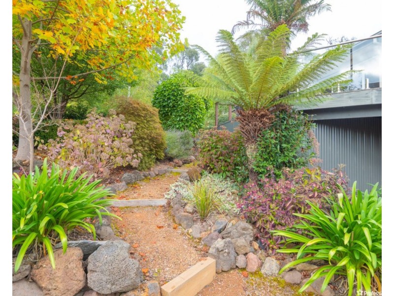 11 Old Melbourne Road, Marysville VIC 3779