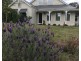 5 Racecourse Road, Marysville VIC 3779