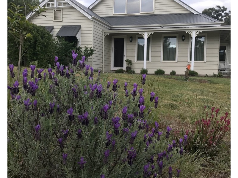 5 Racecourse Road, Marysville VIC 3779